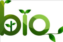 Arquitectura bioclimática