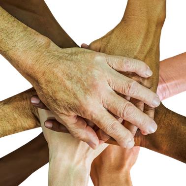 Equipo Casas Optimus, S.A.