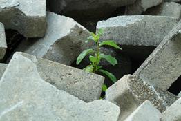 Produccion sostenible de cemento