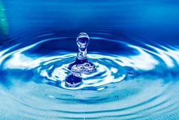 Como disminuir huella de carbono