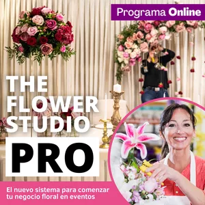 Estudio de flores