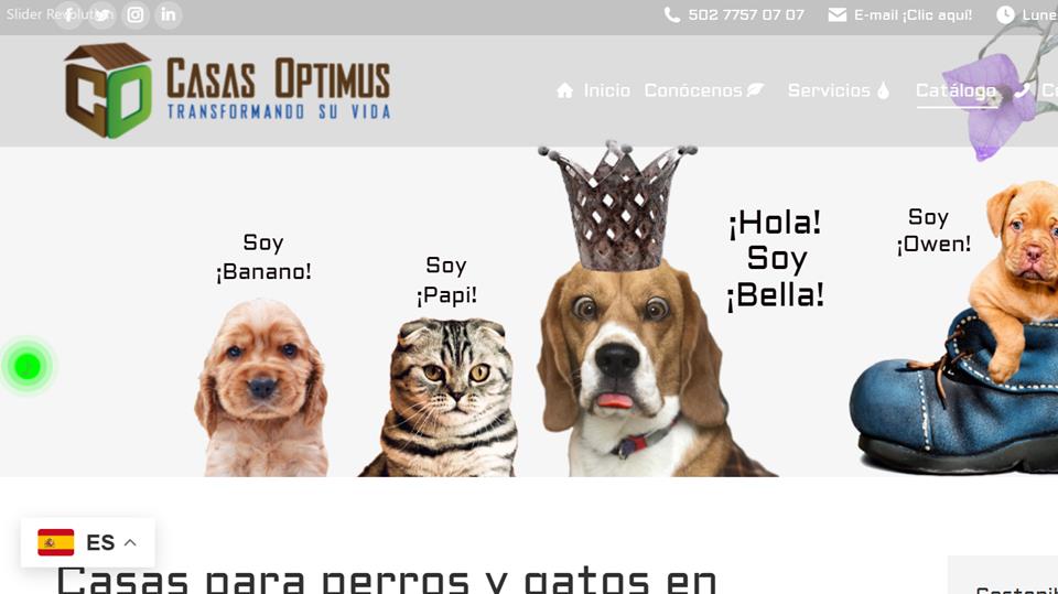 Casas optimus pagina web